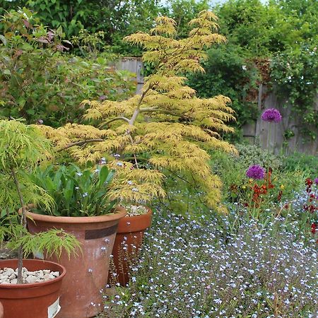 Laurels Guesthouse Witney Εξωτερικό φωτογραφία