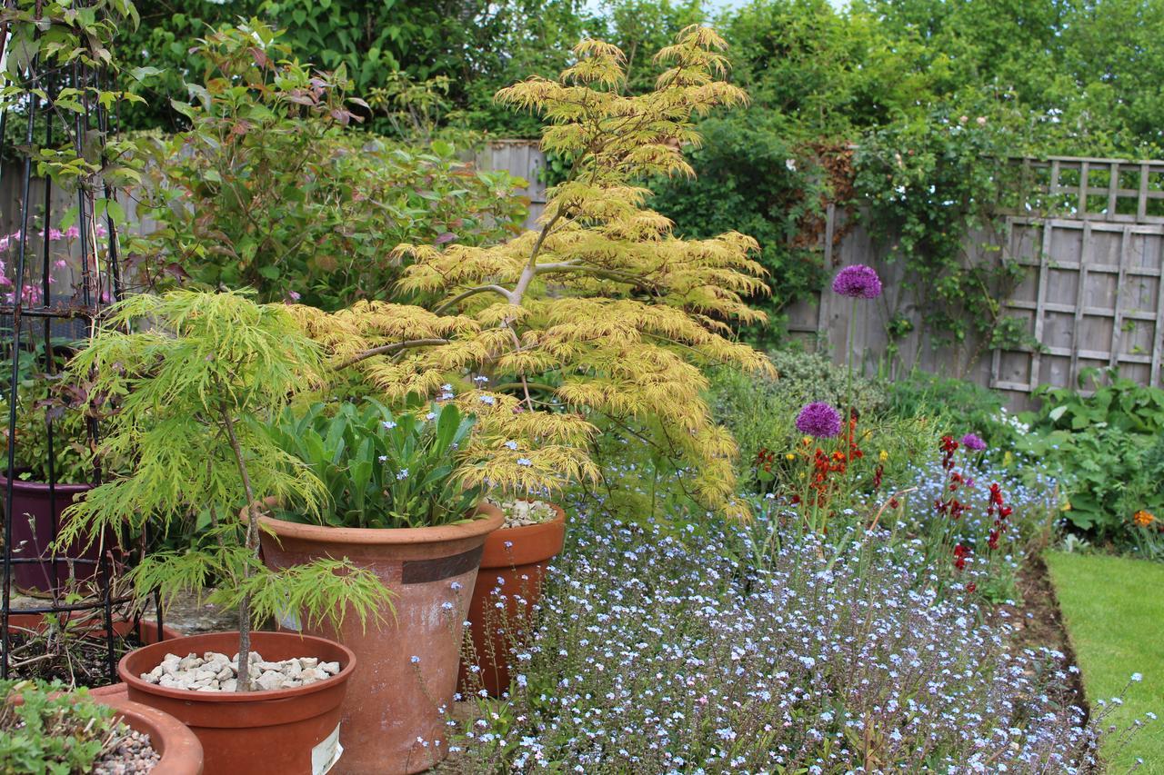 Laurels Guesthouse Witney Εξωτερικό φωτογραφία
